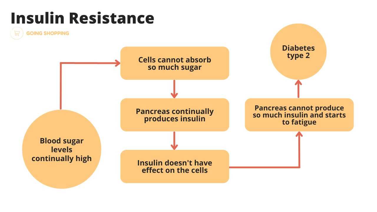 Graph outlining the body processes of insulin resistance.